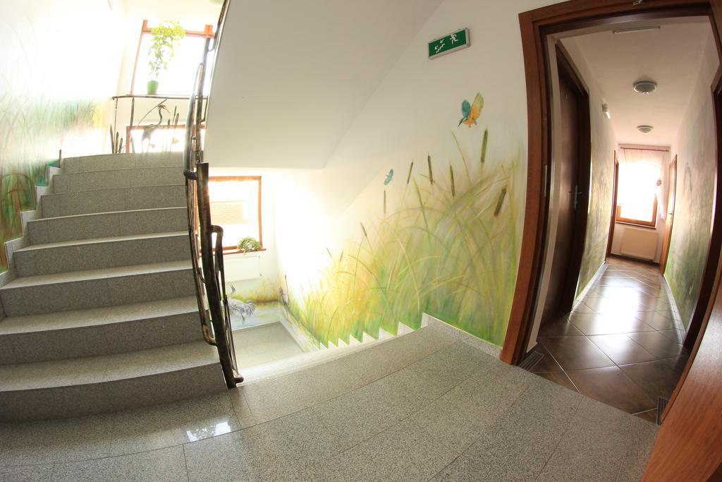 Gosciniec Kaszebe Bed & Breakfast Leba Bagian luar foto